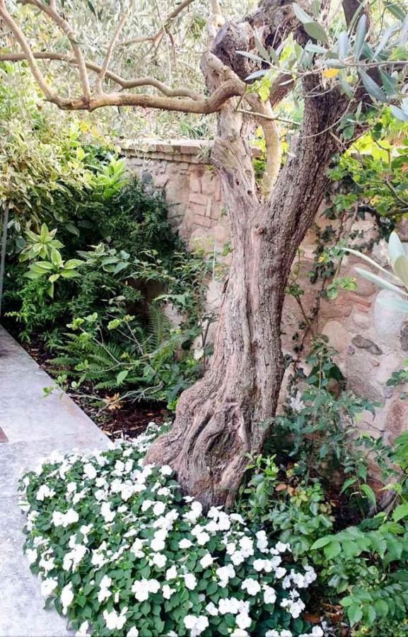 B&B Borsi Monzambano Bagian luar foto